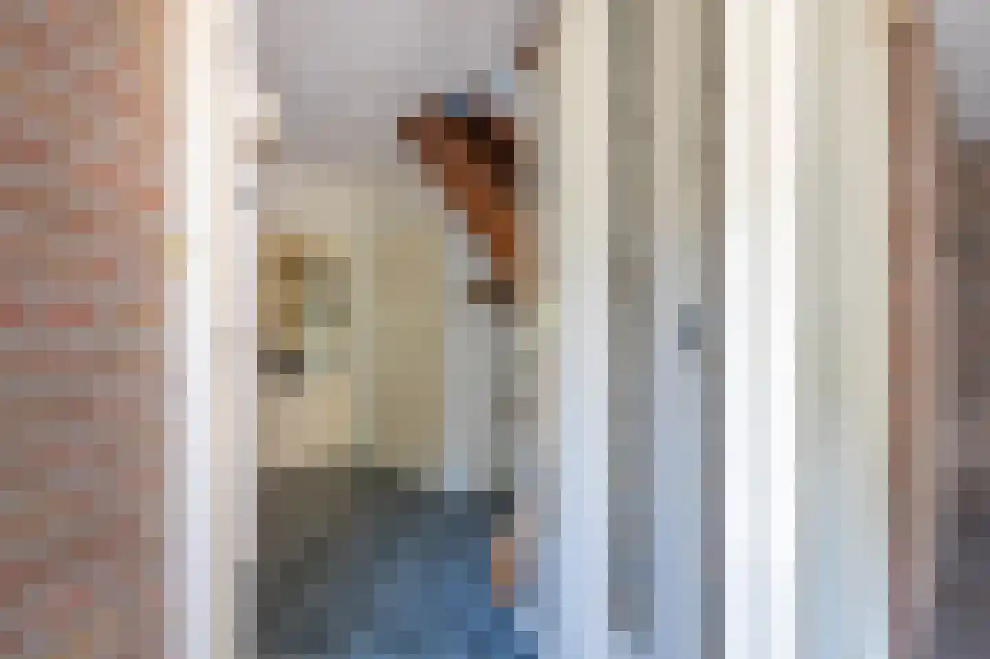 De Pelikaan 23 Almelo thumbnail 5