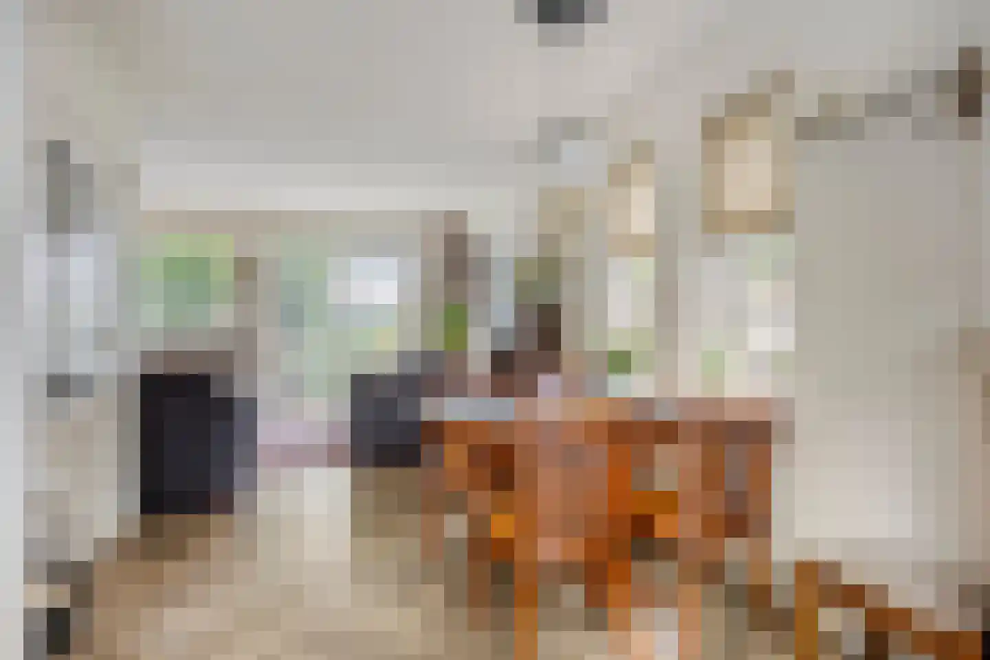 De Pelikaan 25 Almelo thumbnail 11