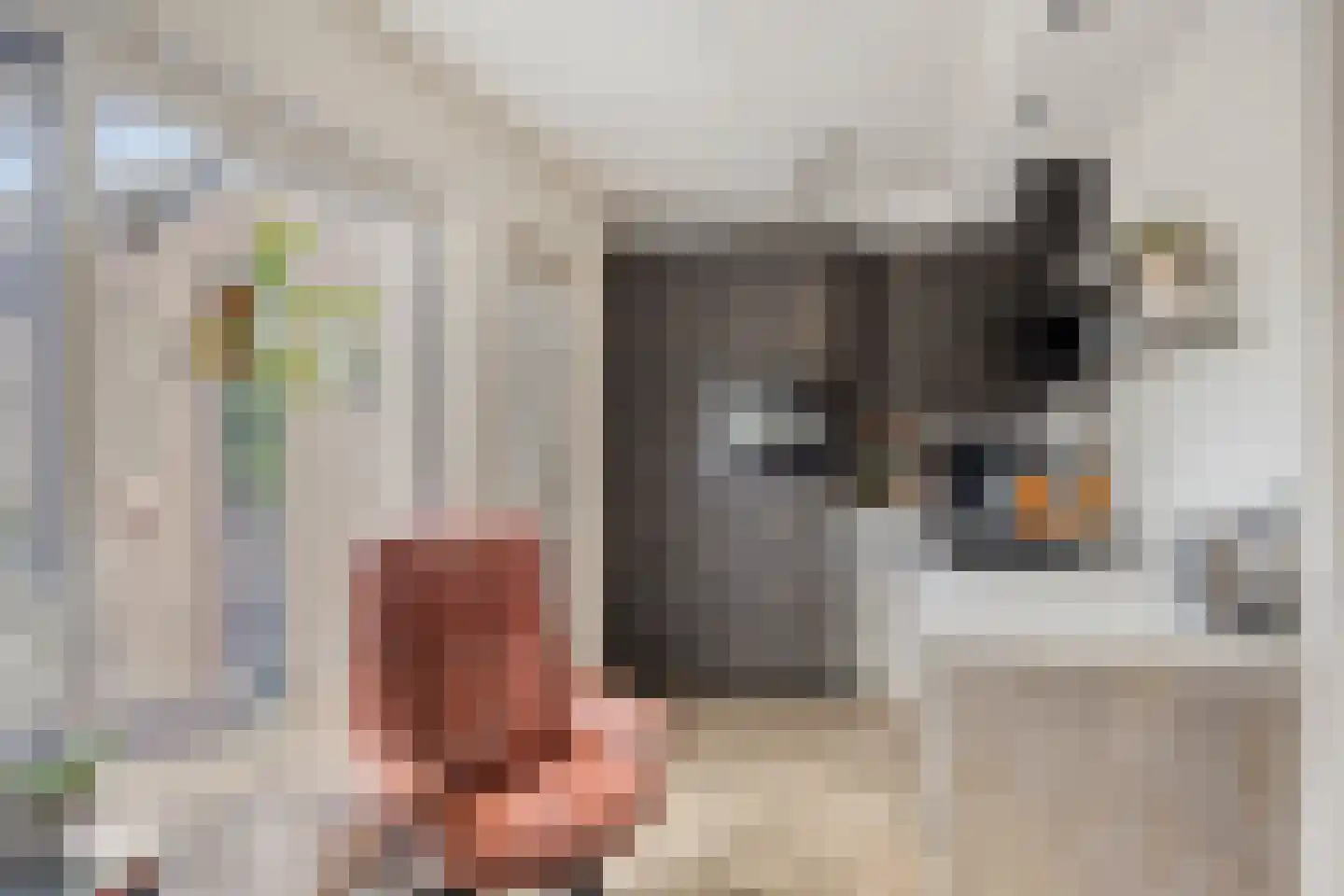 De Pelikaan 25 Almelo thumbnail 12