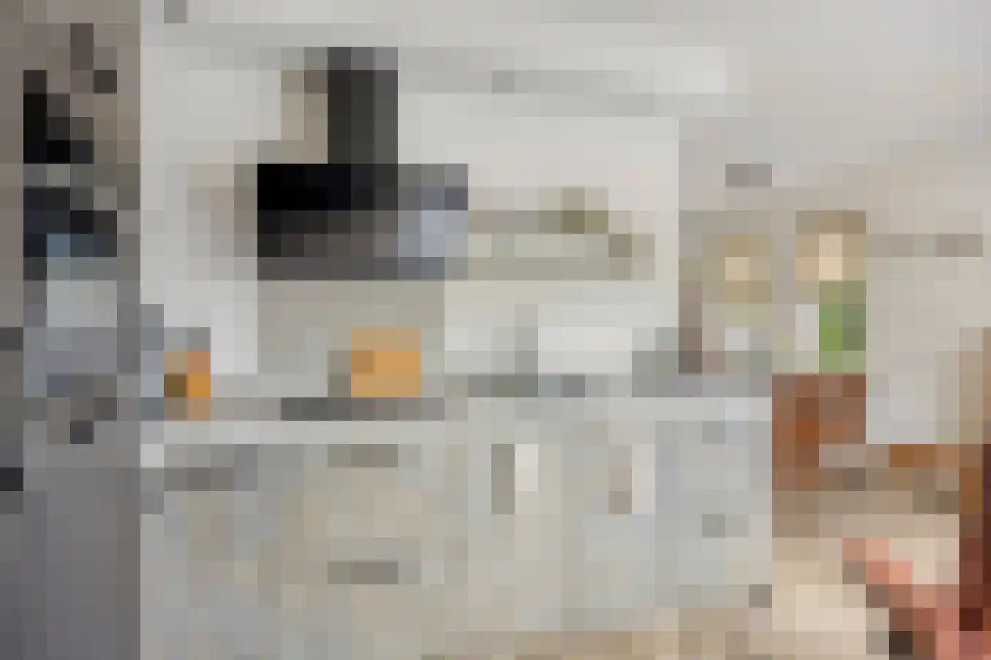 De Pelikaan 25 Almelo thumbnail 13