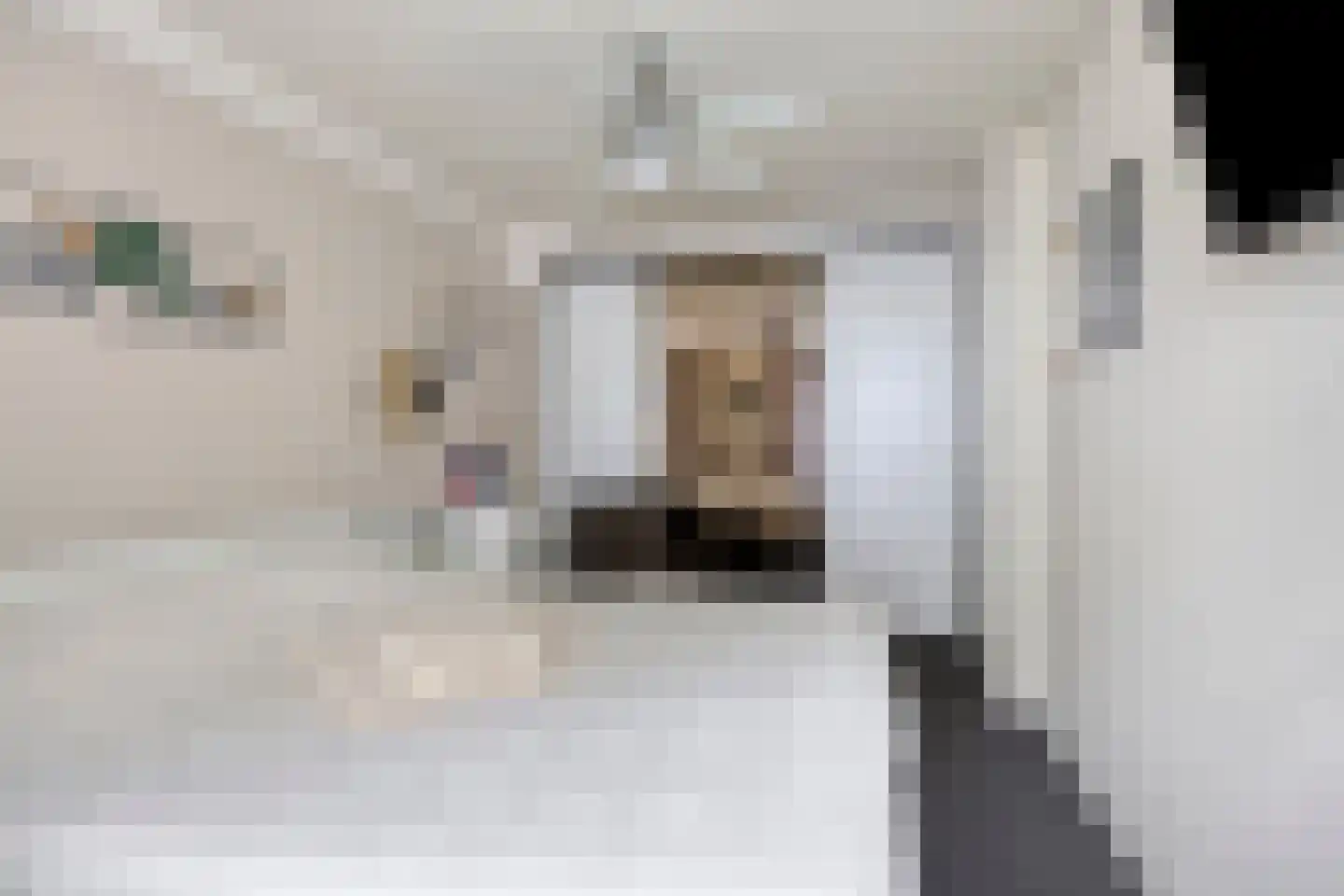 De Pelikaan 25 Almelo thumbnail 20