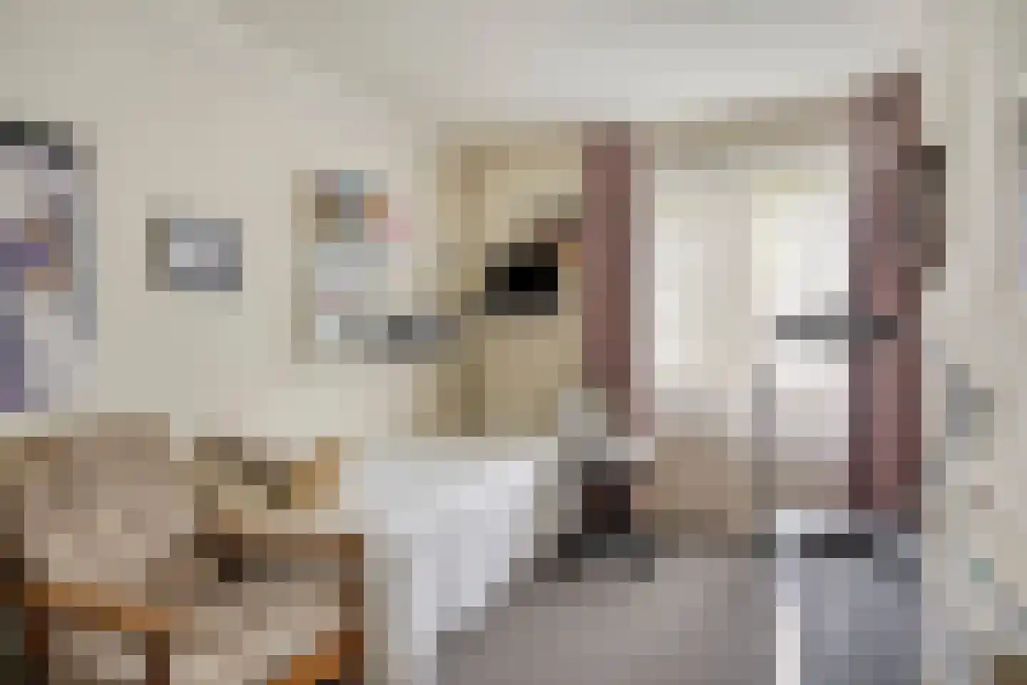 De Pelikaan 25 Almelo thumbnail 22