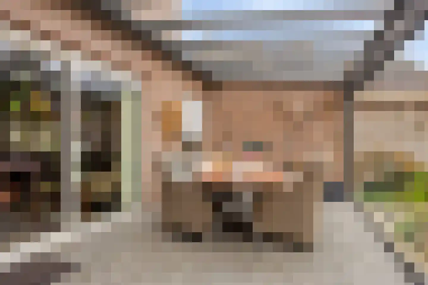 De Pelikaan 25 Almelo thumbnail 24