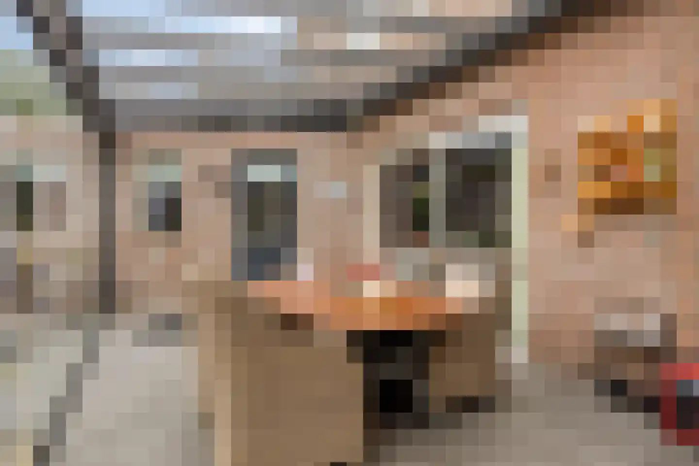 De Pelikaan 25 Almelo thumbnail 25