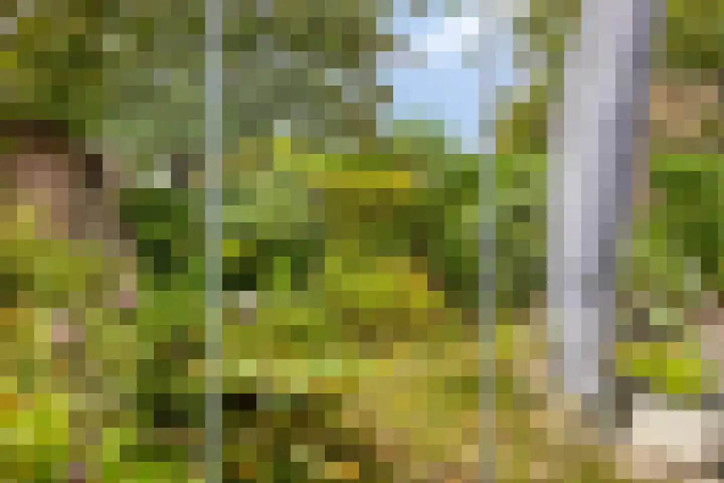 De Pelikaan 25 Almelo thumbnail 27