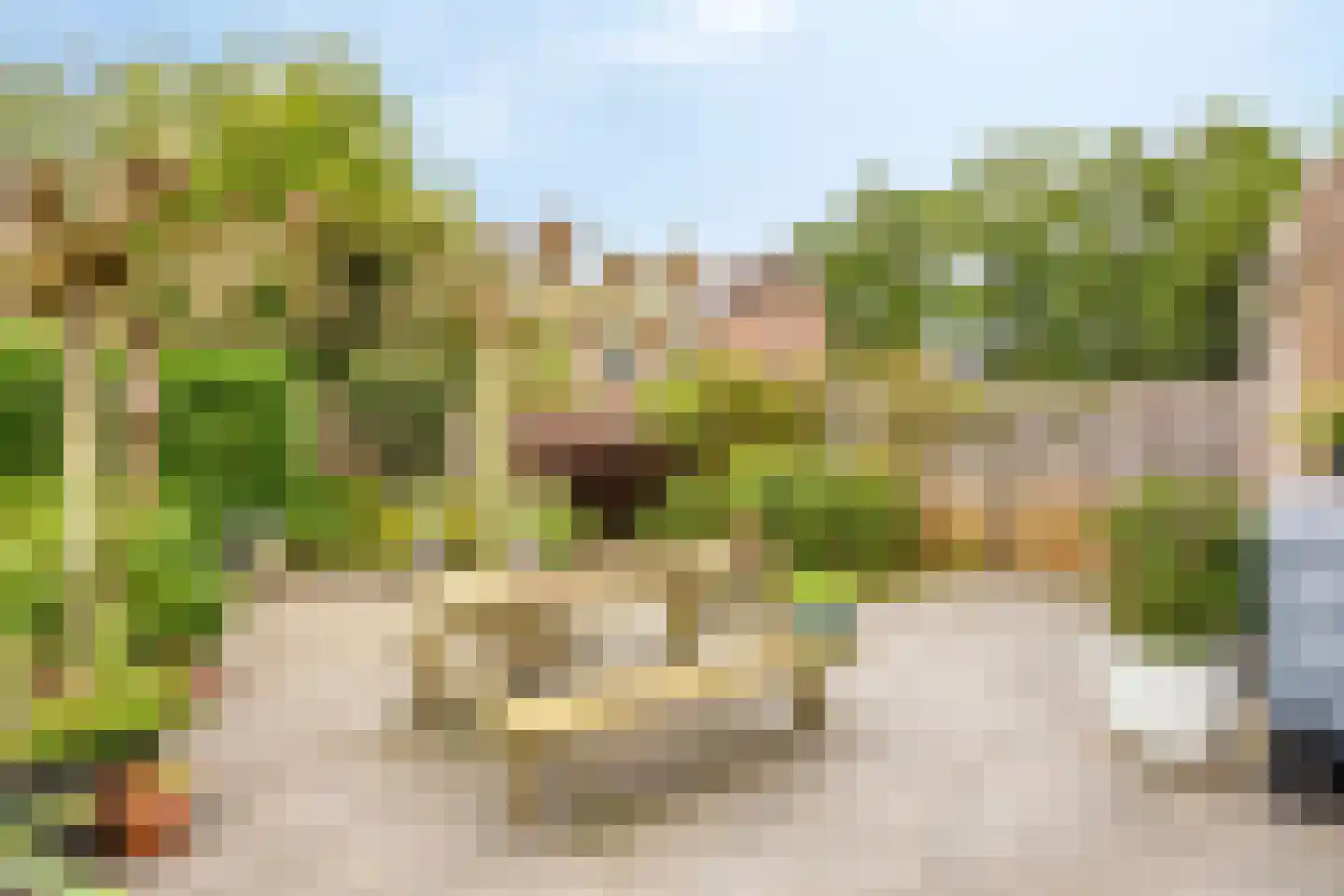 De Pelikaan 25 Almelo thumbnail 30