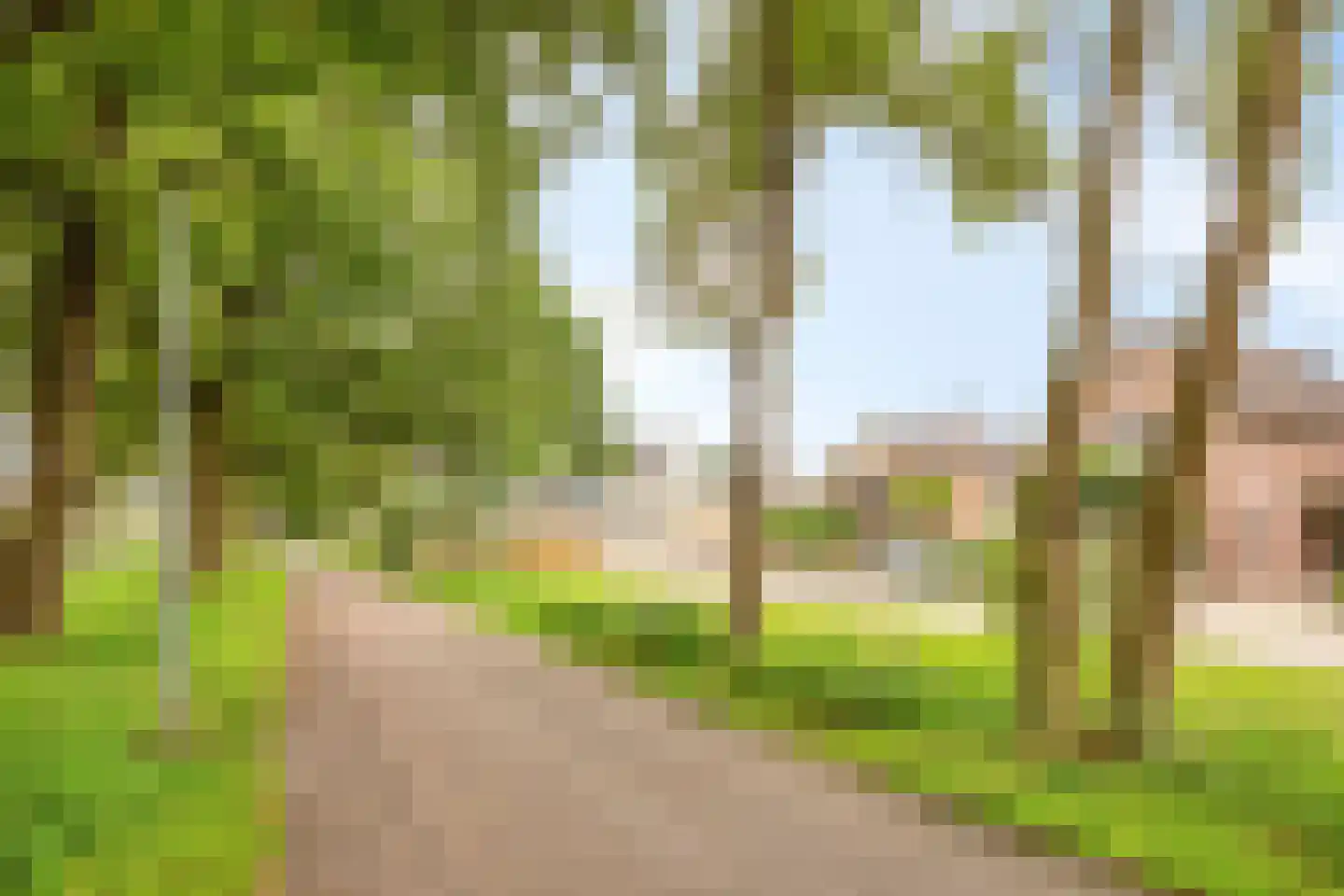 De Pelikaan 25 Almelo thumbnail 34