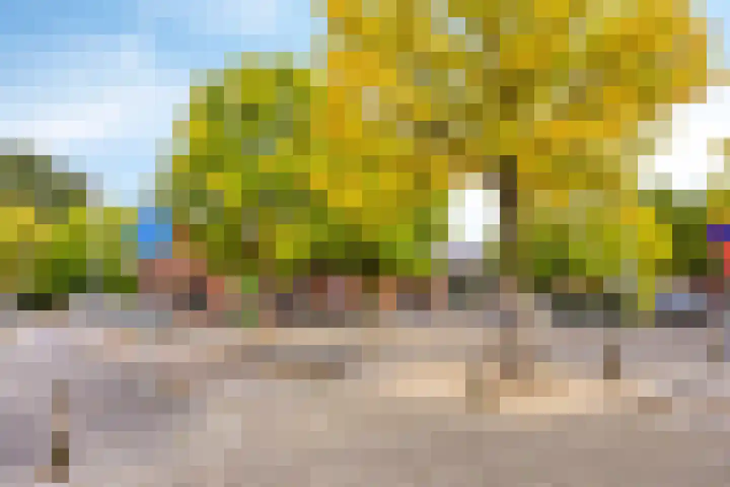 De Pelikaan 25 Almelo thumbnail 35