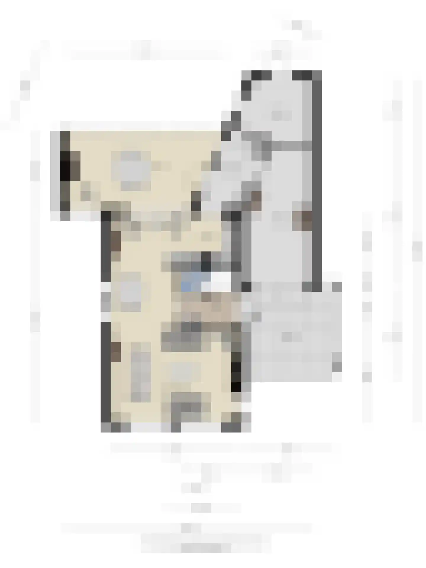 De Pelikaan 25 Almelo thumbnail 39