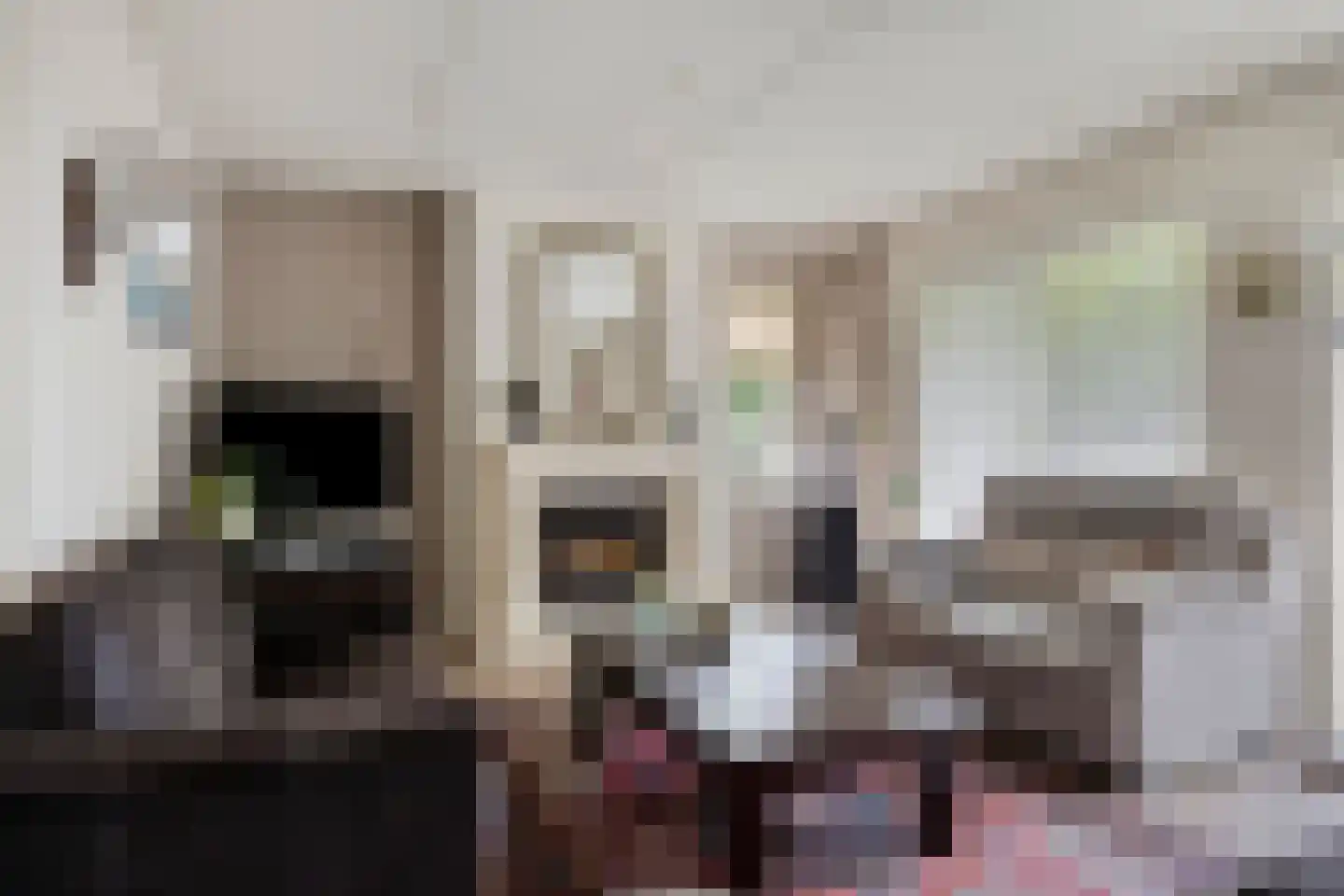 De Pelikaan 25 Almelo thumbnail 4