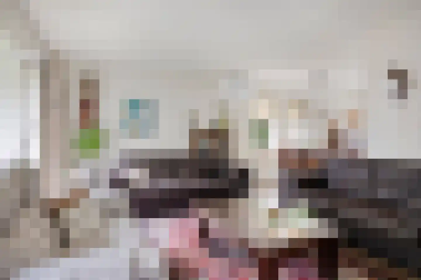 De Pelikaan 25 Almelo thumbnail 8