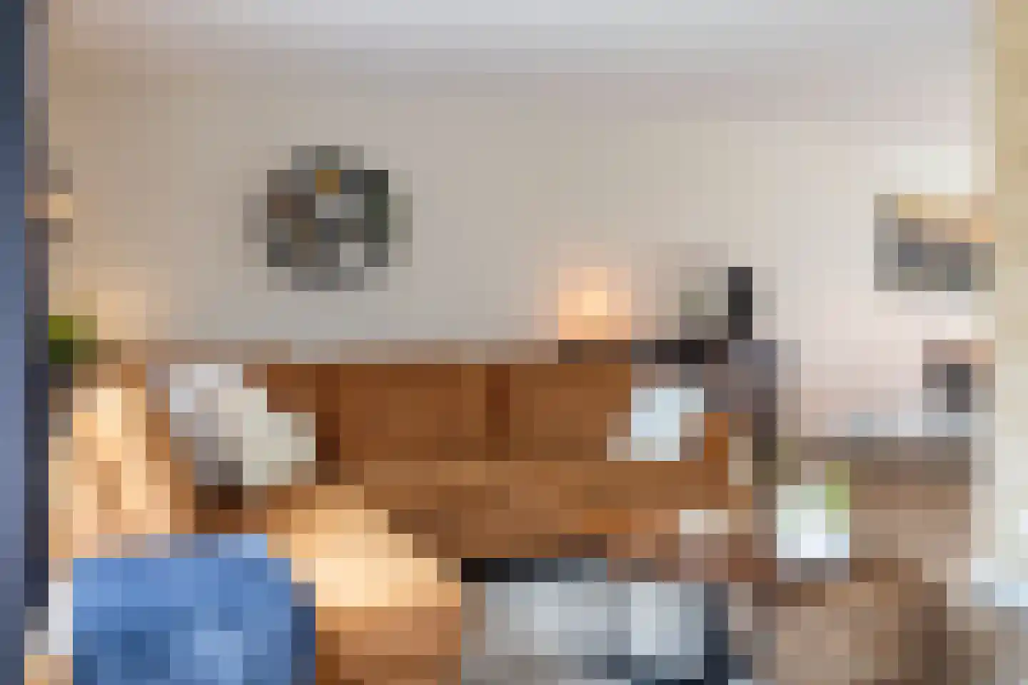 De Pelikaan 5 Almelo thumbnail 11