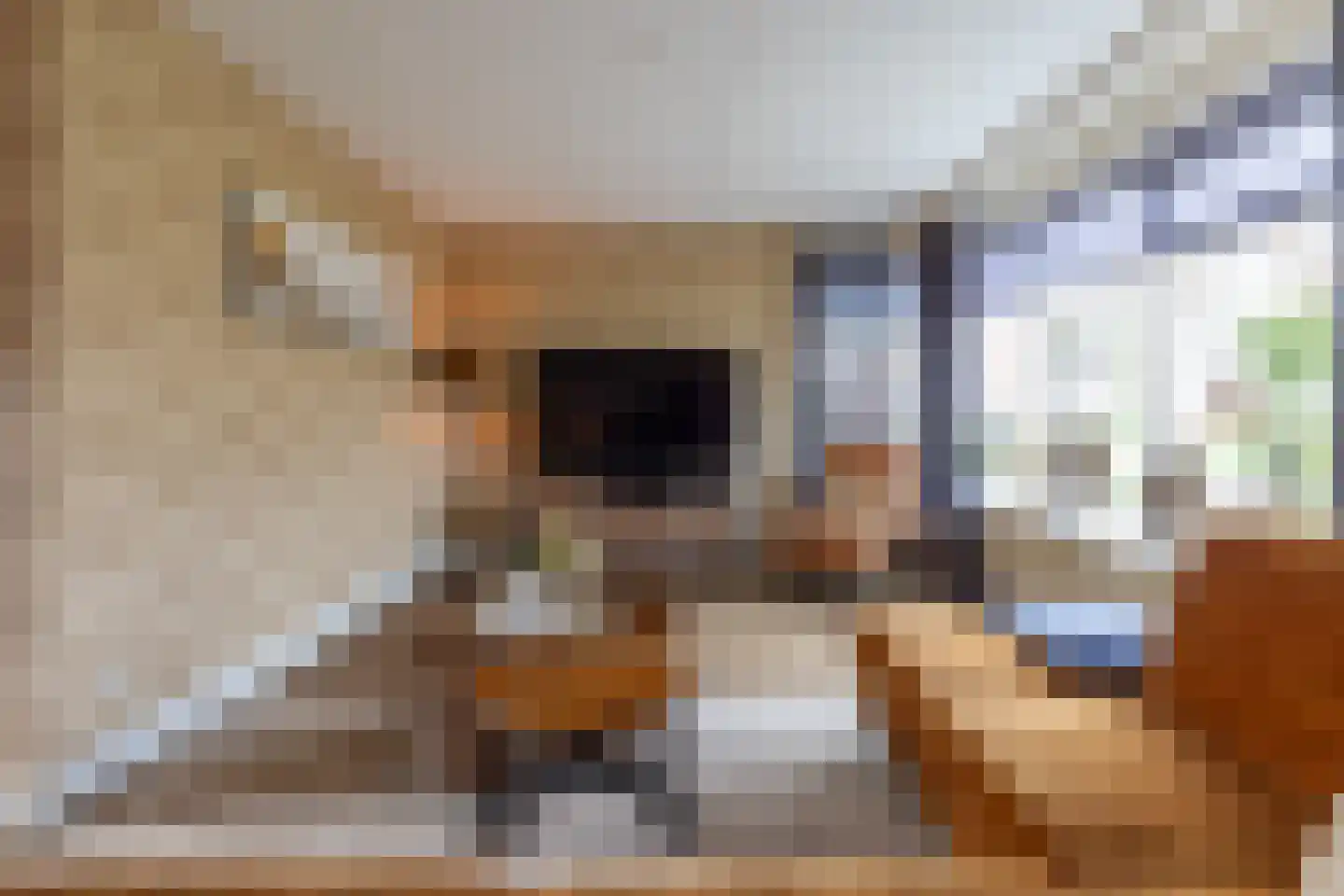 De Pelikaan 5 Almelo thumbnail 13