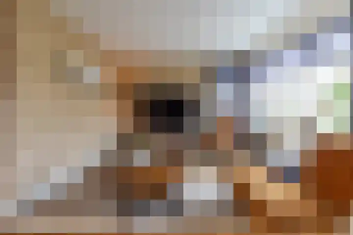 De Pelikaan 5 Almelo thumbnail 13