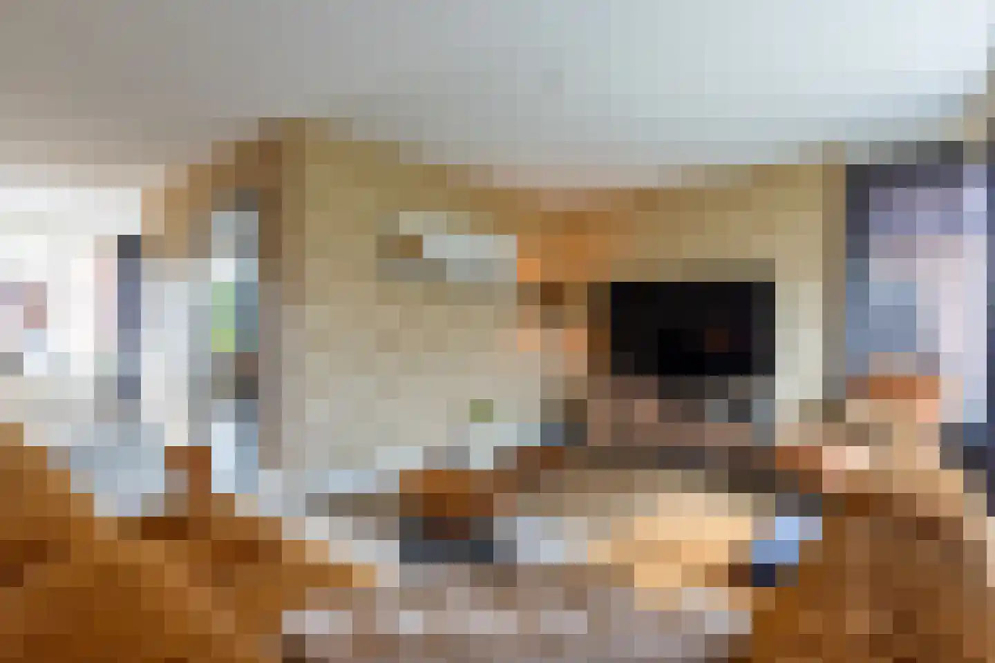 De Pelikaan 5 Almelo thumbnail 14
