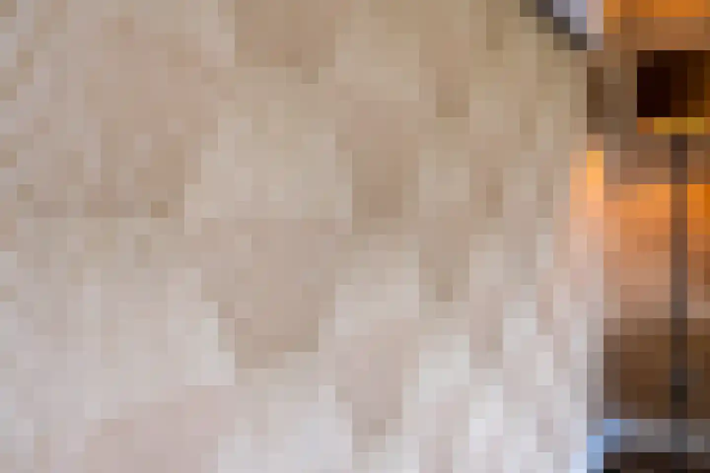 De Pelikaan 5 Almelo thumbnail 15