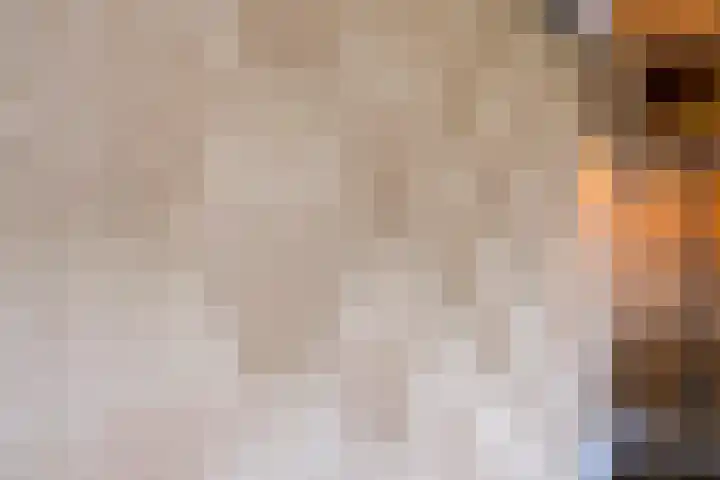De Pelikaan 5 Almelo thumbnail 15