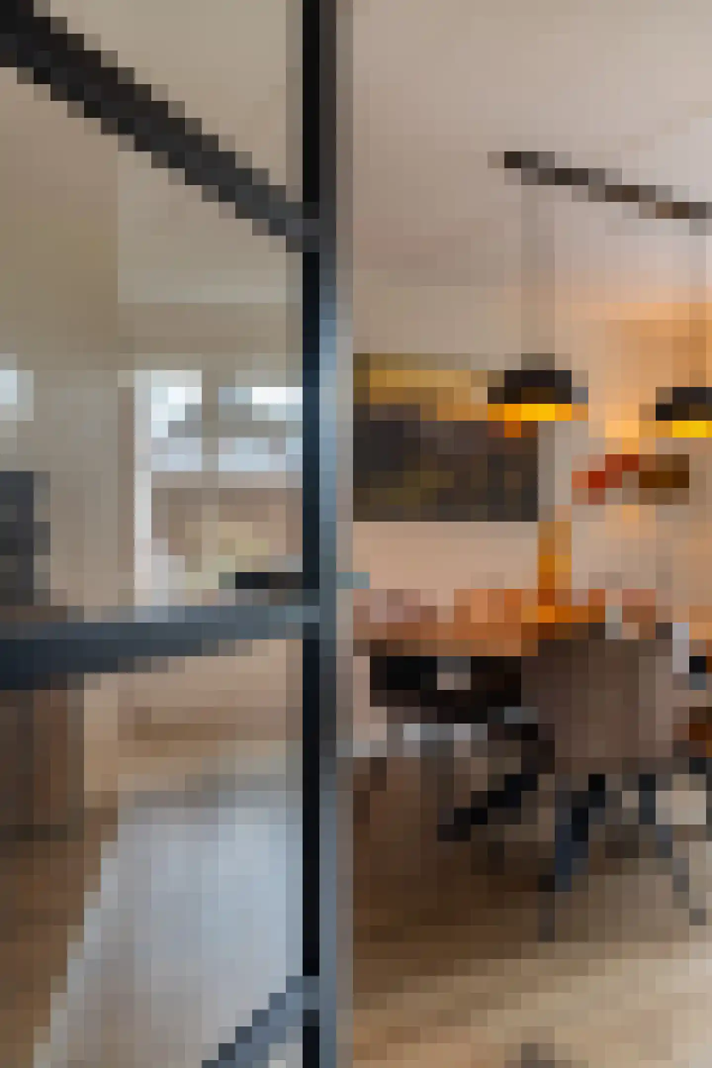 De Pelikaan 5 Almelo thumbnail 16