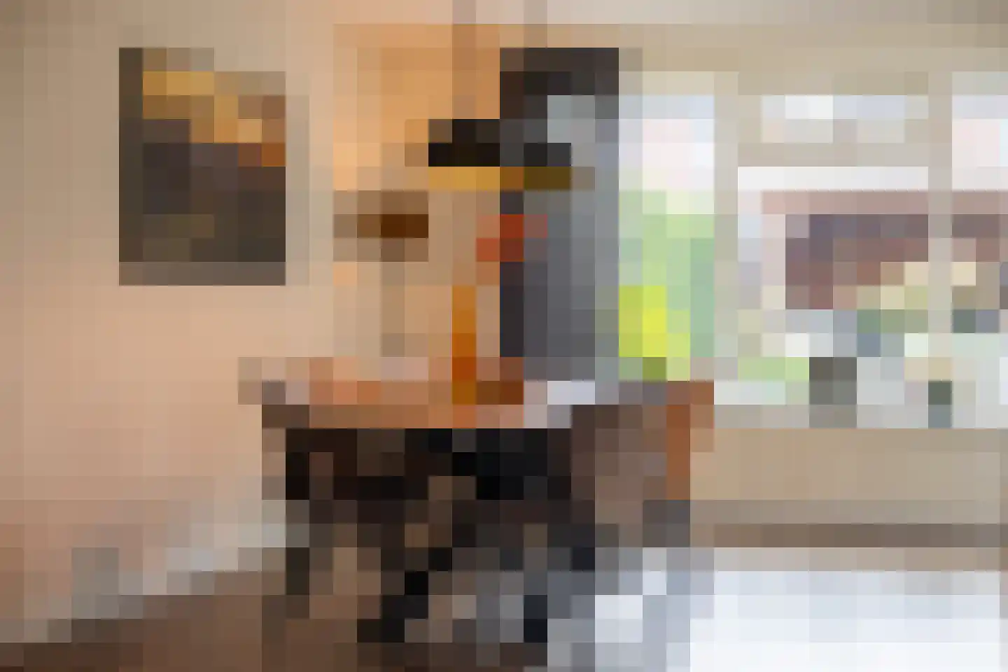 De Pelikaan 5 Almelo thumbnail 17