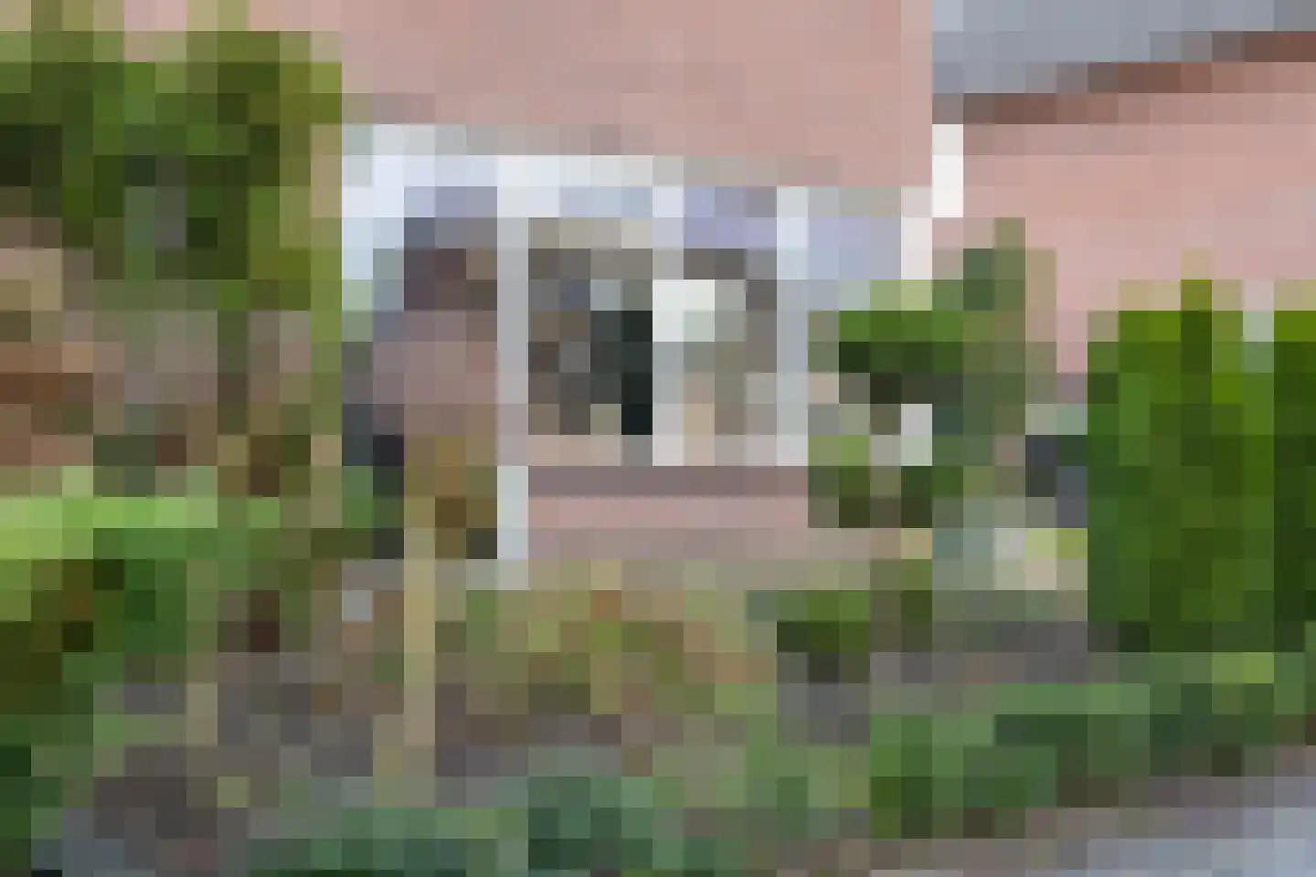 De Pelikaan 5 Almelo thumbnail 30