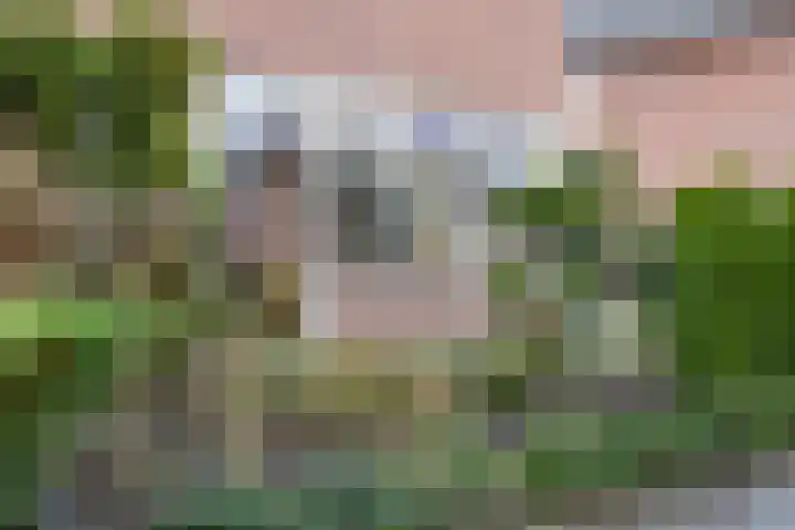 De Pelikaan 5 Almelo thumbnail 30
