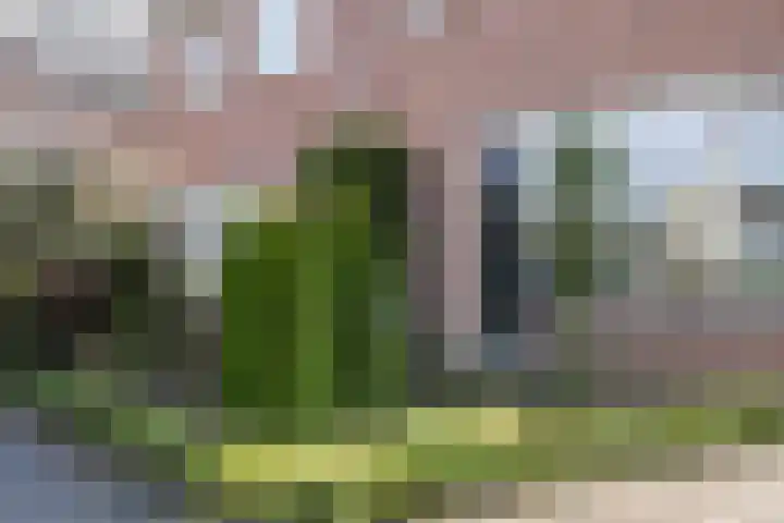 De Pelikaan 5 Almelo thumbnail 31