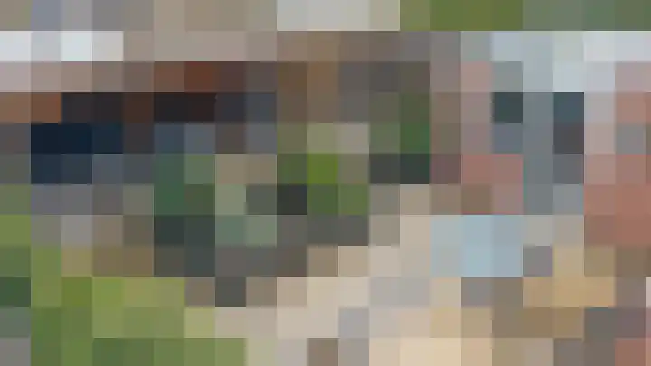 De Pelikaan 5 Almelo thumbnail 32