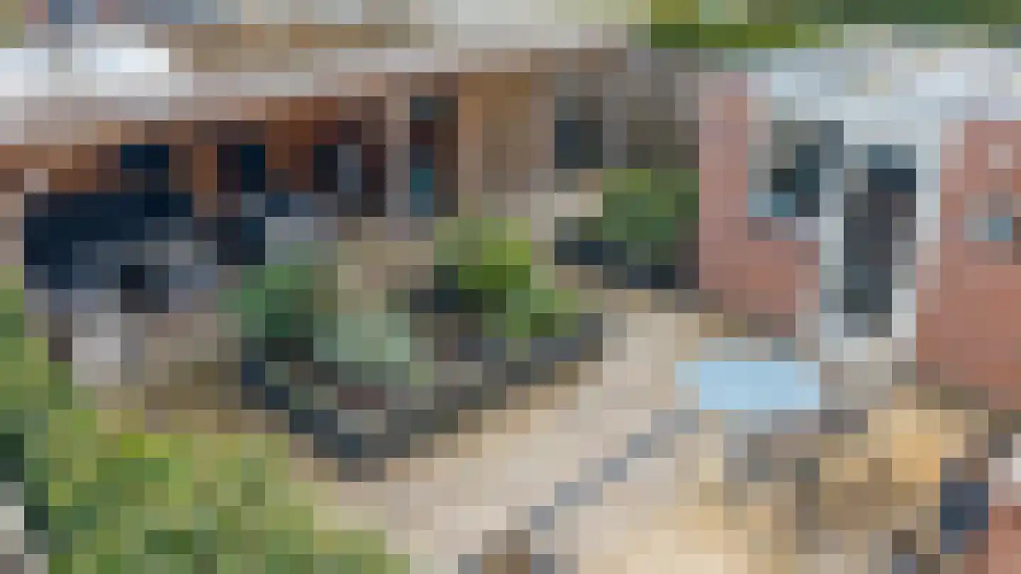 De Pelikaan 5 Almelo thumbnail 32
