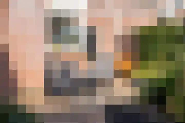 De Pelikaan 5 Almelo thumbnail 34