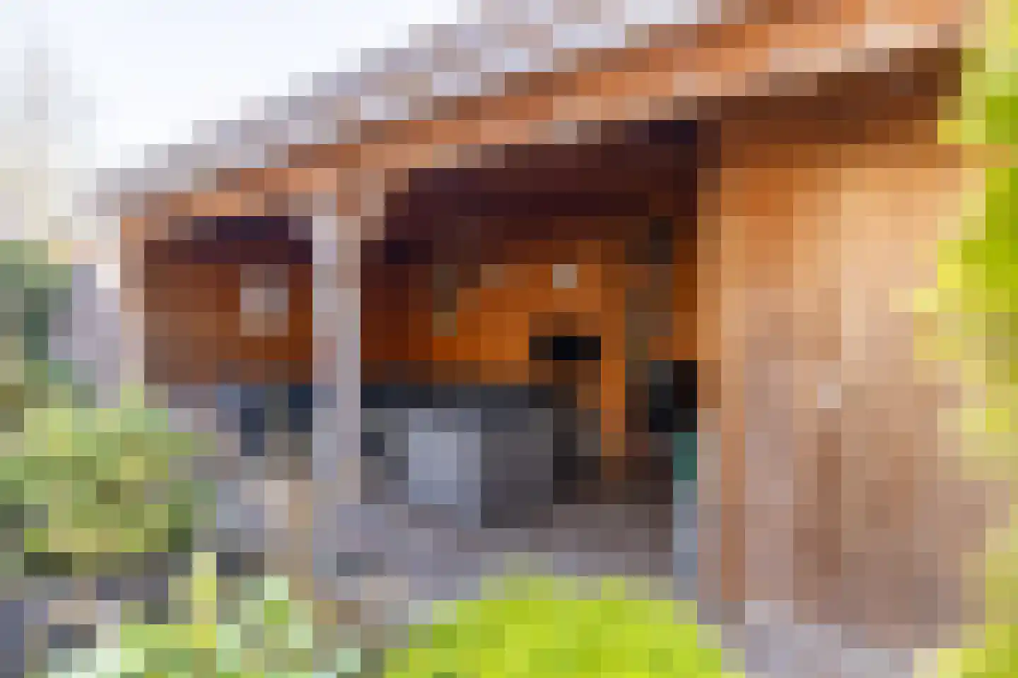 De Pelikaan 5 Almelo thumbnail 36