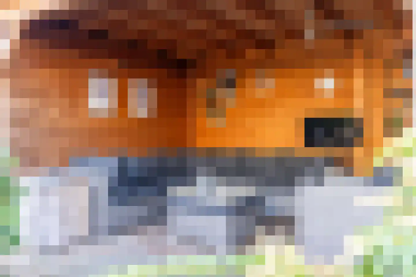 De Pelikaan 5 Almelo thumbnail 37