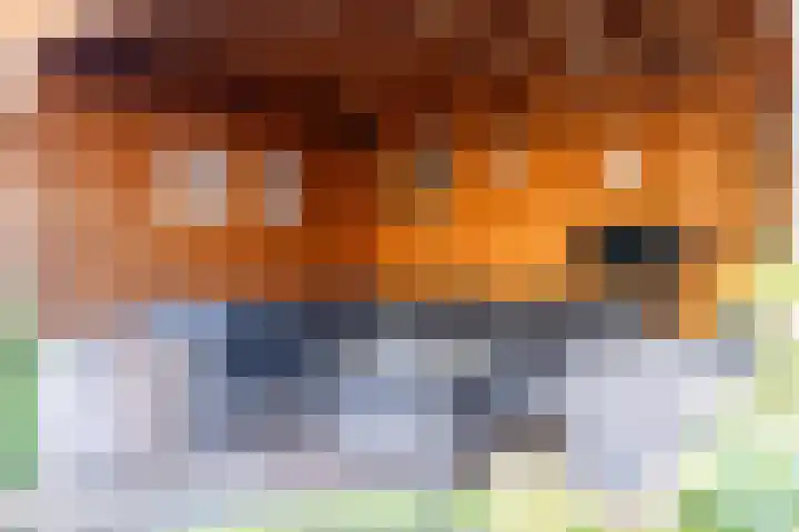 De Pelikaan 5 Almelo thumbnail 37