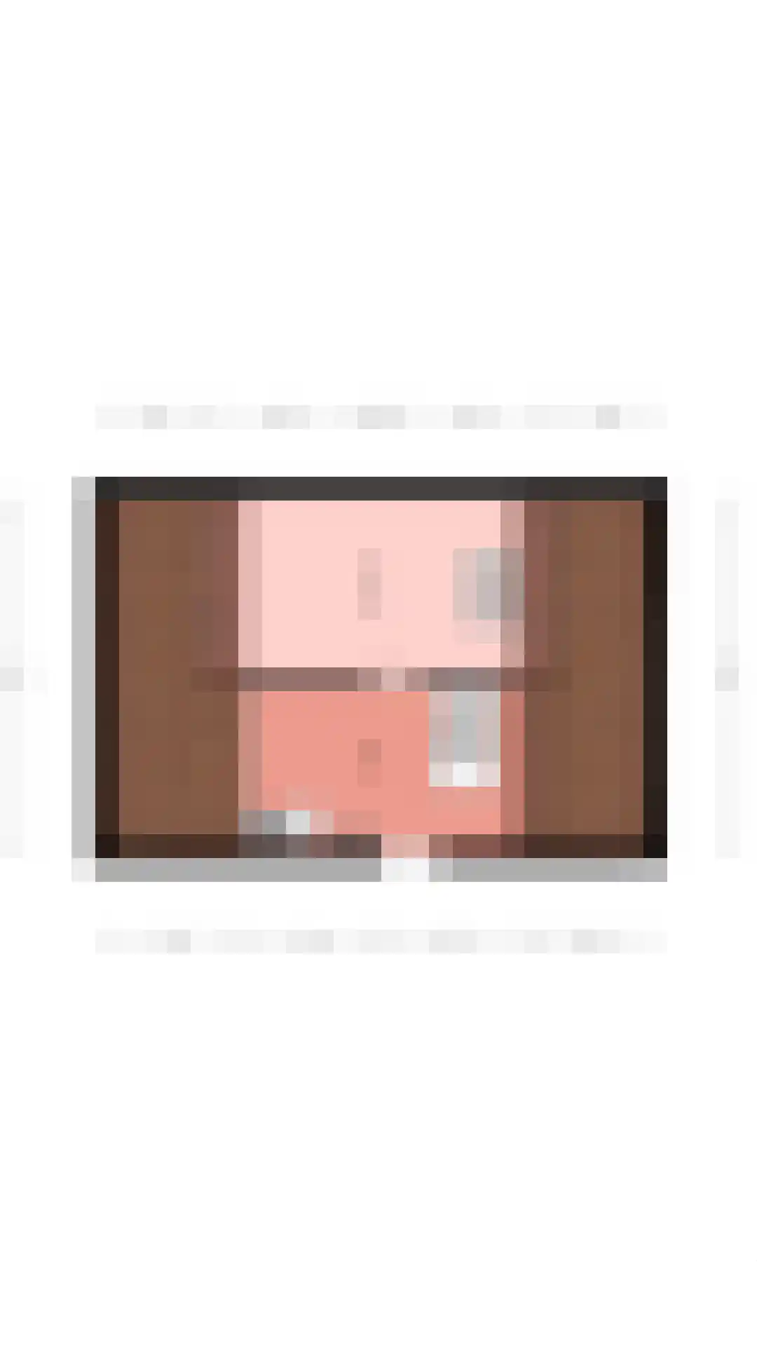 De Pelikaan 5 Almelo thumbnail 40
