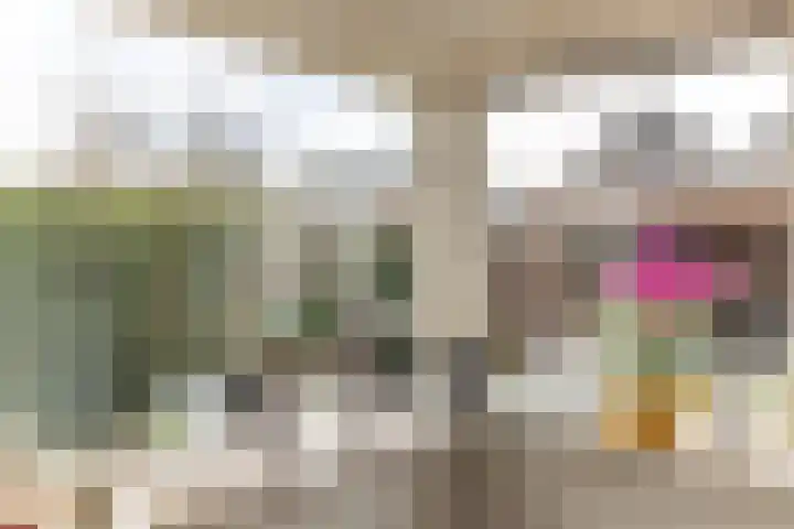 De Pelikaan 5 Almelo thumbnail 8