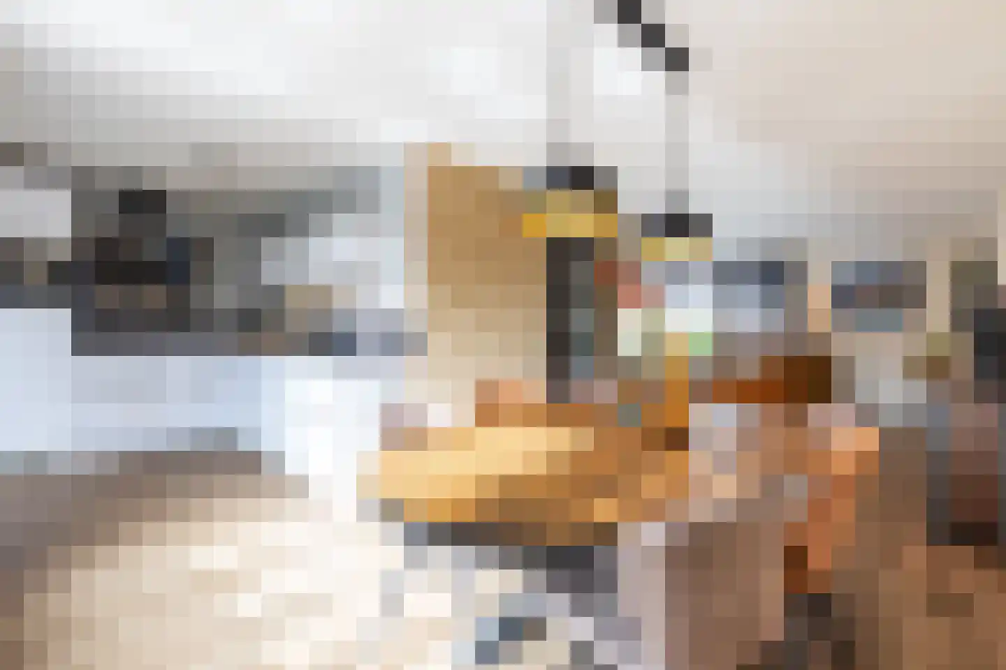 De Pelikaan 5 Almelo thumbnail 9
