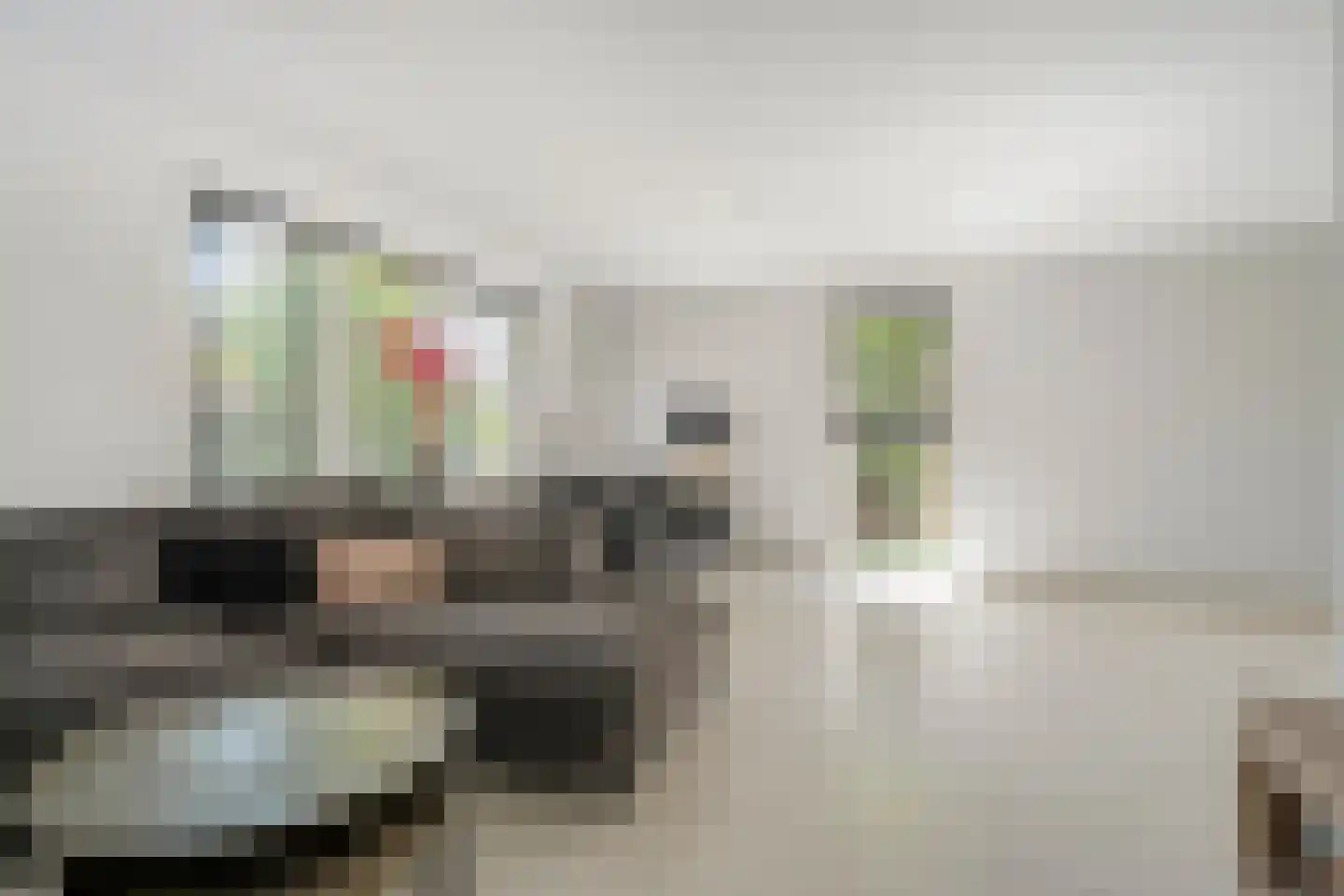 De Pelikaan 59 Almelo thumbnail 15