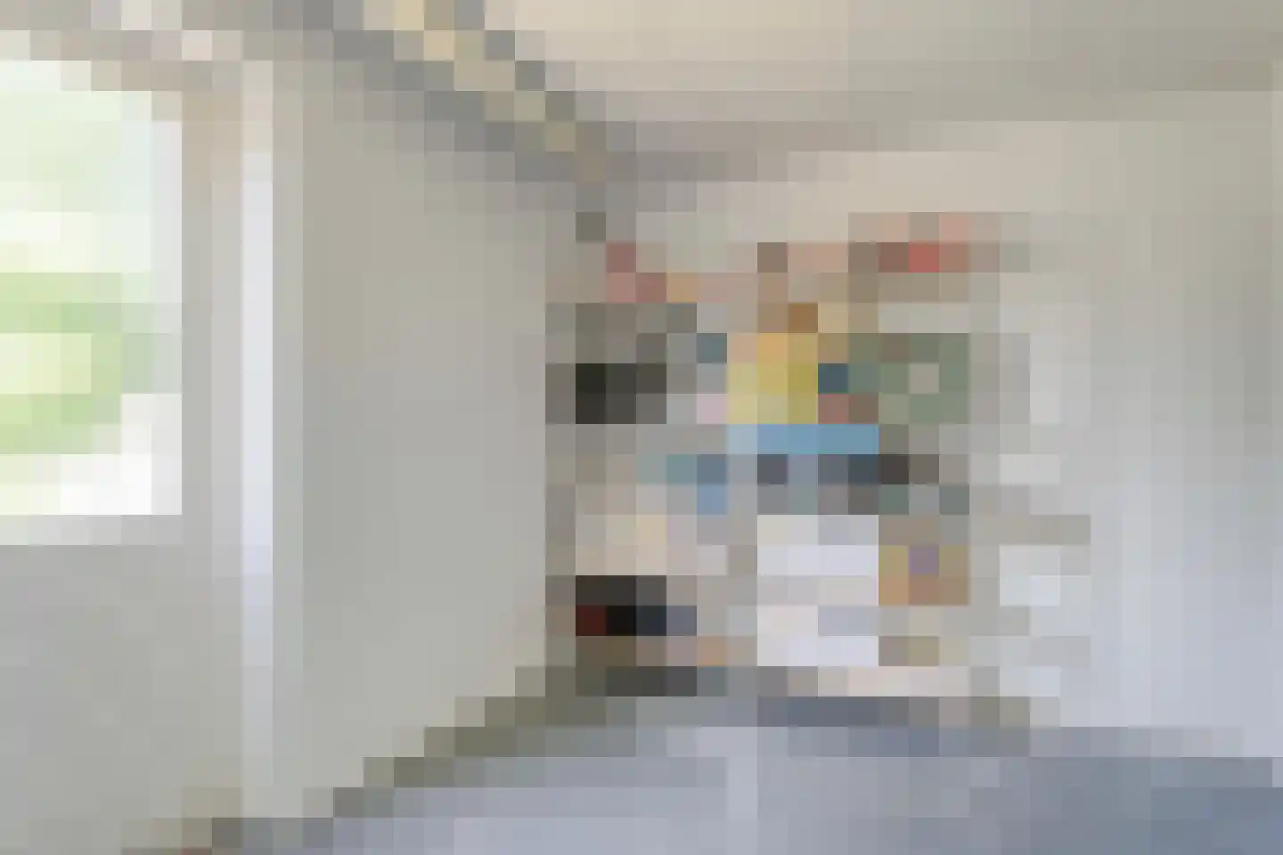 De Pelikaan 59 Almelo thumbnail 30