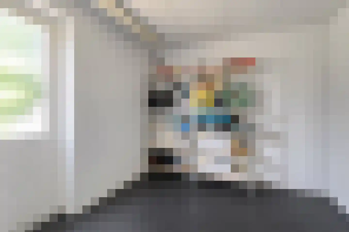 De Pelikaan 59 Almelo thumbnail 31