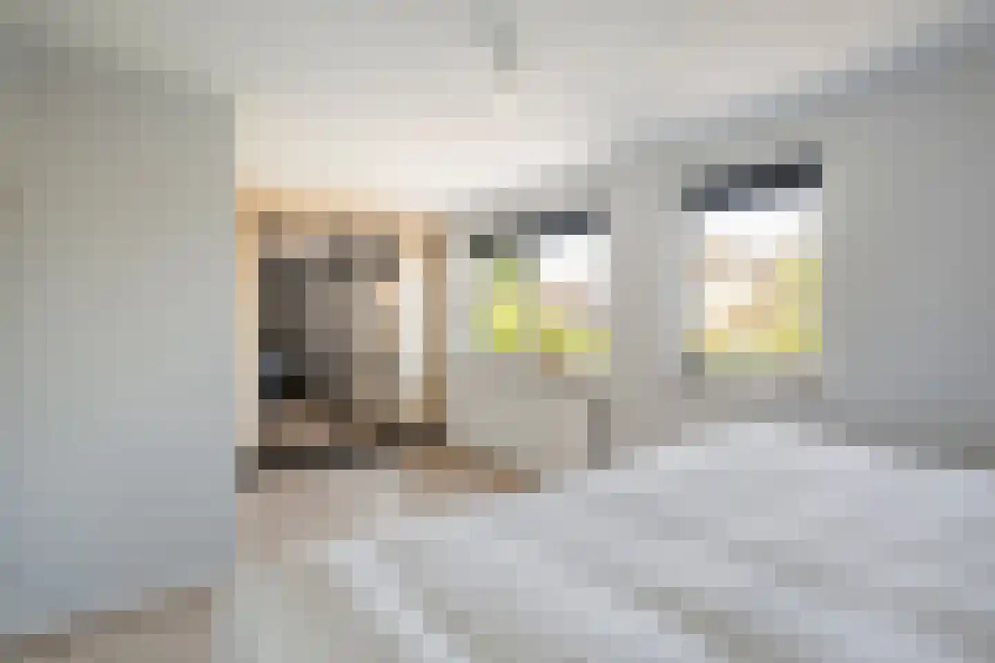 De Pelikaan 59 Almelo thumbnail 35