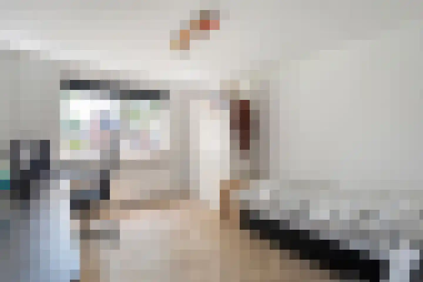De Pelikaan 59 Almelo thumbnail 36
