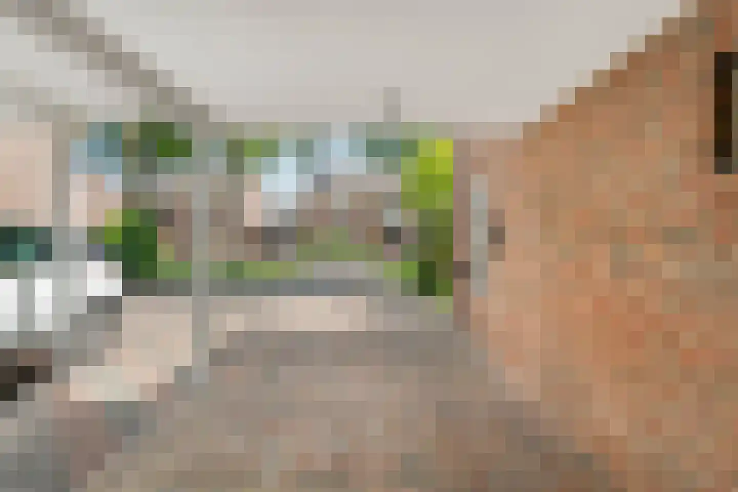 De Pelikaan 59 Almelo thumbnail 4