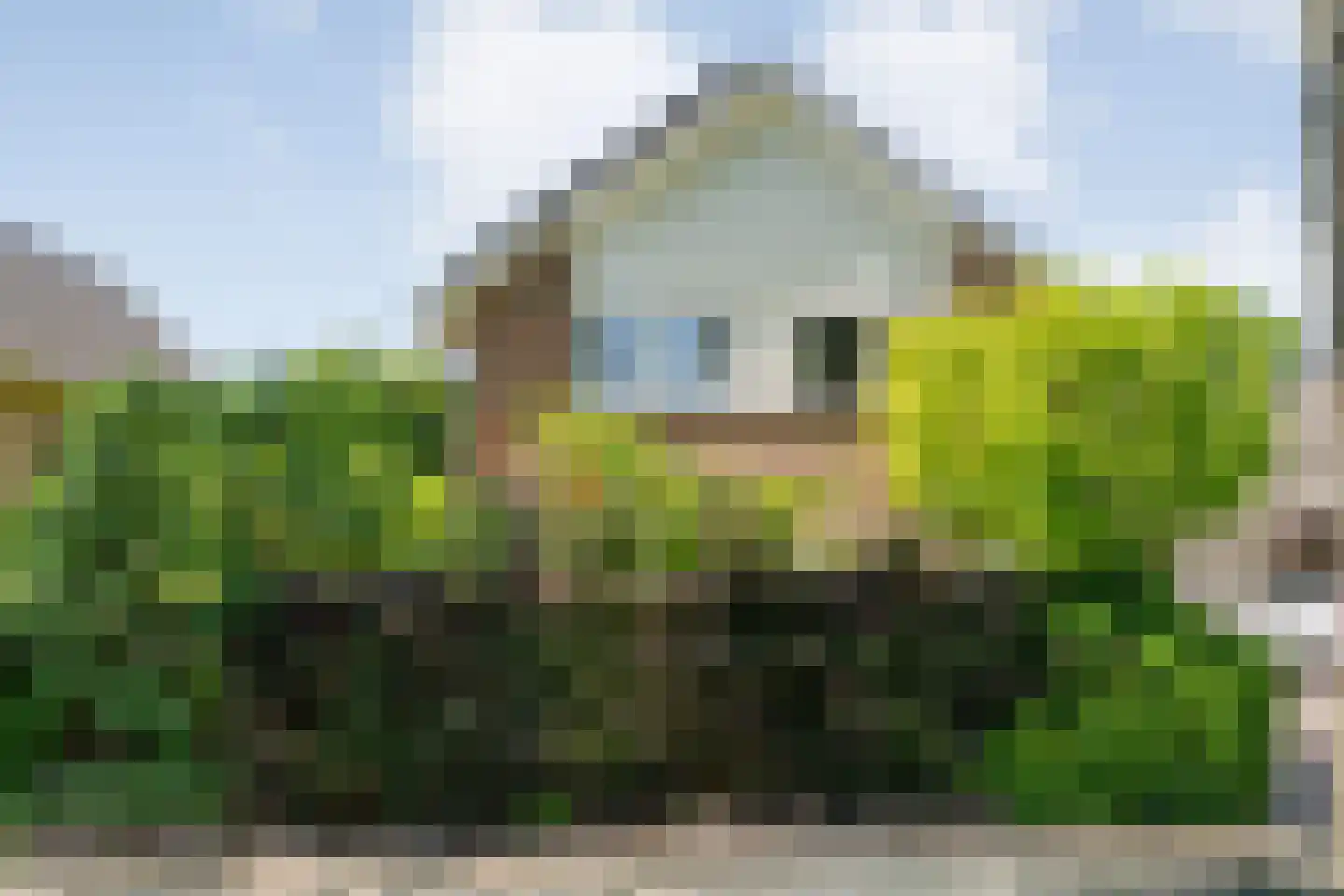 De Pelikaan 59 Almelo thumbnail 64