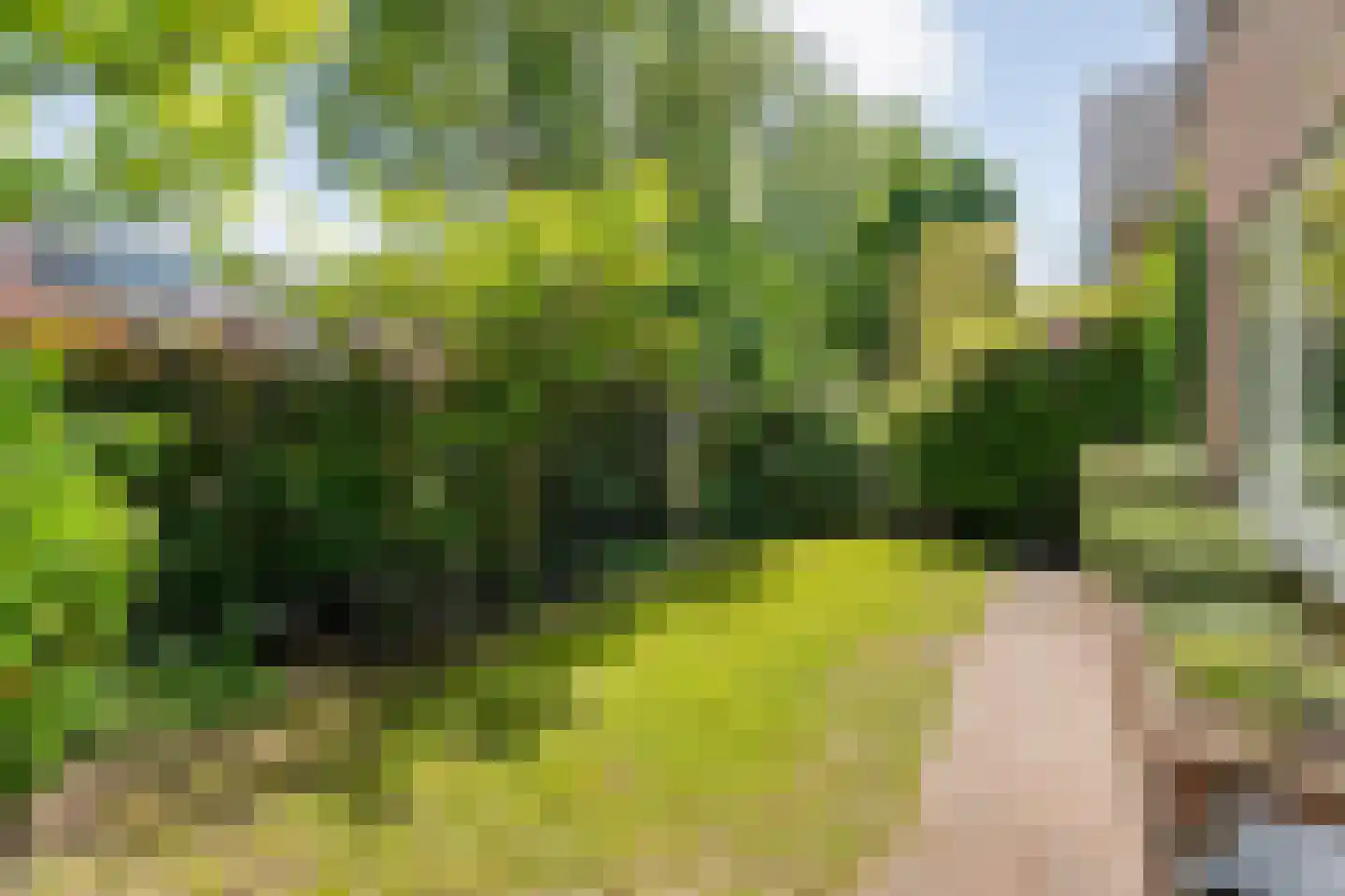 De Pelikaan 59 Almelo thumbnail 7