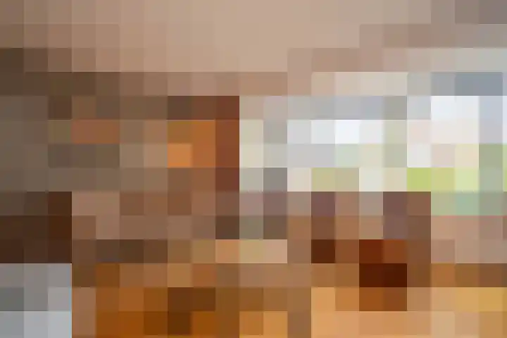 De Pelikaan 60 Almelo thumbnail 12