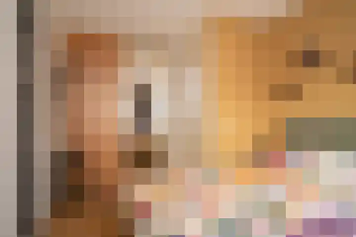 De Pelikaan 60 Almelo thumbnail 21