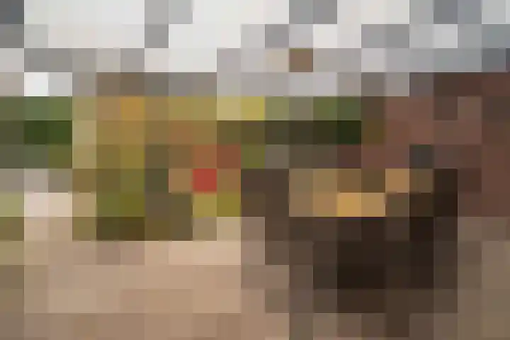 De Pelikaan 60 Almelo thumbnail 32