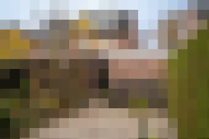 De Pelikaan 60 Almelo thumbnail 33