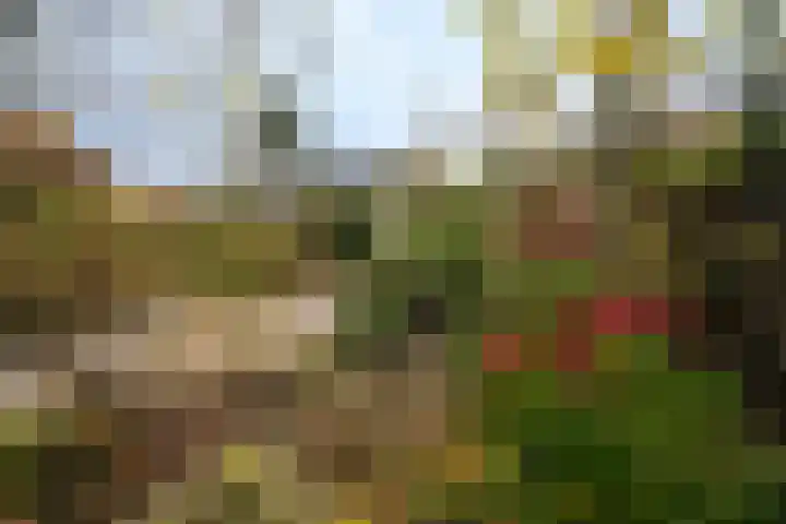 De Pelikaan 60 Almelo thumbnail 34