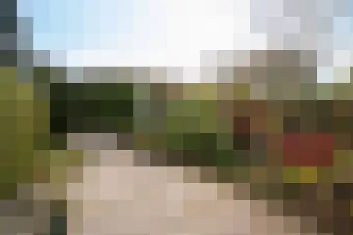 De Pelikaan 60 Almelo thumbnail 35