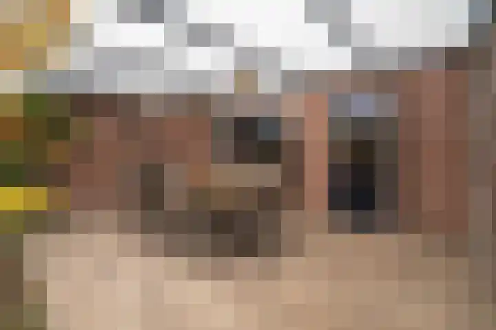 De Pelikaan 60 Almelo thumbnail 36
